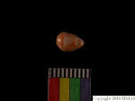 L_V22d6544 A16q80.1 T921 dM sh f55
